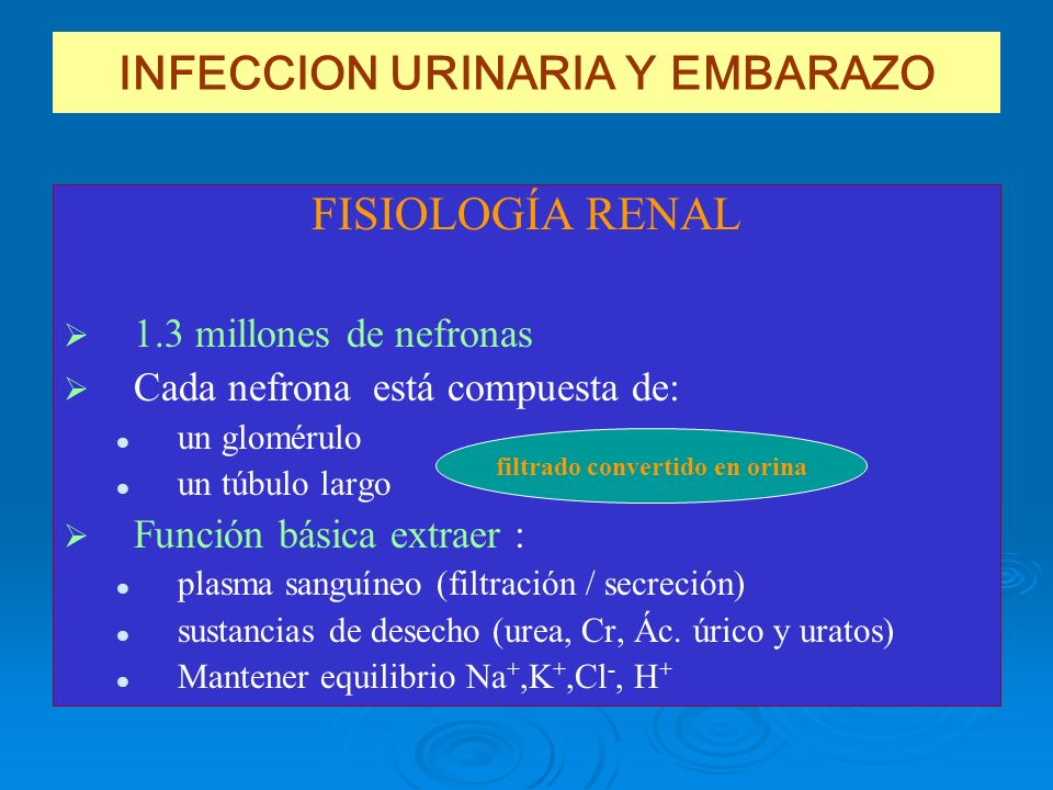 que hacer con una infeccion urinaria en el embarazo
